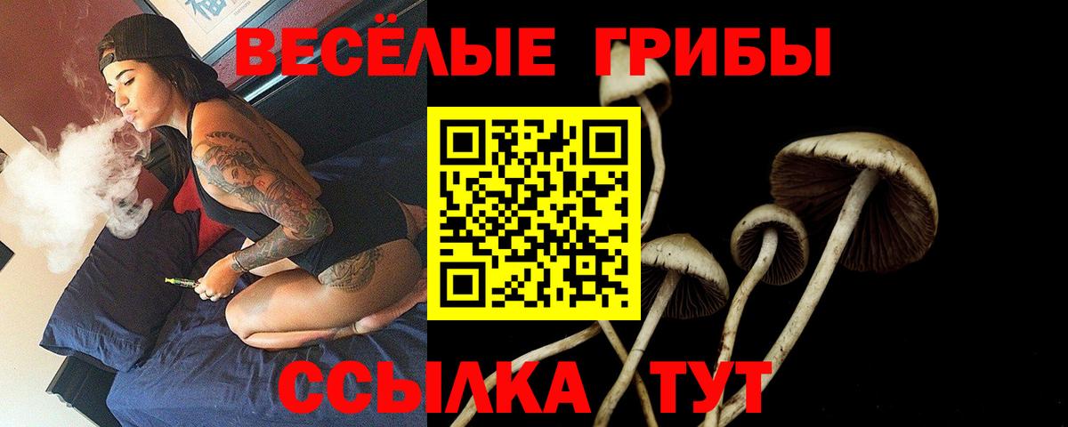 Муром  Псилоцибиновые грибы Psilocybine cubensis  Вход с VPN 